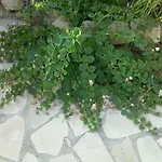 Sbarcatore Dei Turchi Brucoli