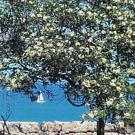 Sbarcatore Dei Turchi