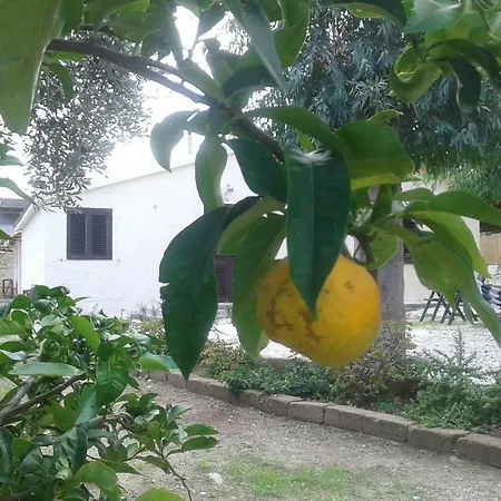 Sbarcatore Dei Turchi * Brucoli